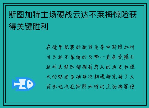 斯图加特主场硬战云达不莱梅惊险获得关键胜利